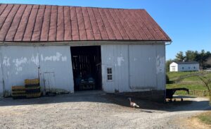 Redemption Springs Farm - Finksburg, MD