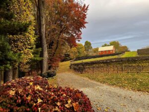 Serpent's Ridge Vineyards - Westminster, MD