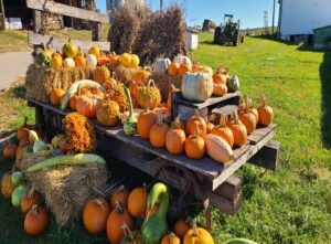 Knill's Farm Market - Mount Airy, MD