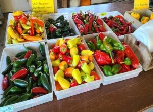 Knill's Farm Market - Mount Airy, MD