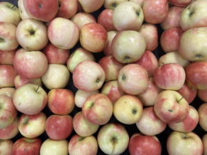 Image of Baugher's apples